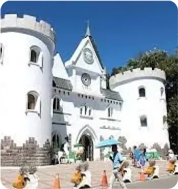 青青草原